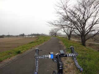 サイクリング道